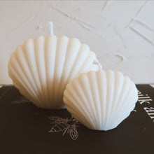 Carregar imagem no visualizador da galeria, Shell