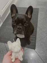 Load image into Gallery viewer, Frenchie - Limited Edition
